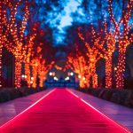 beautifully lit walkway with red lights leading to a corporate charity gala event